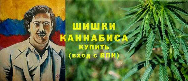 стаф Вязьма